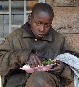 网页免费发手机号